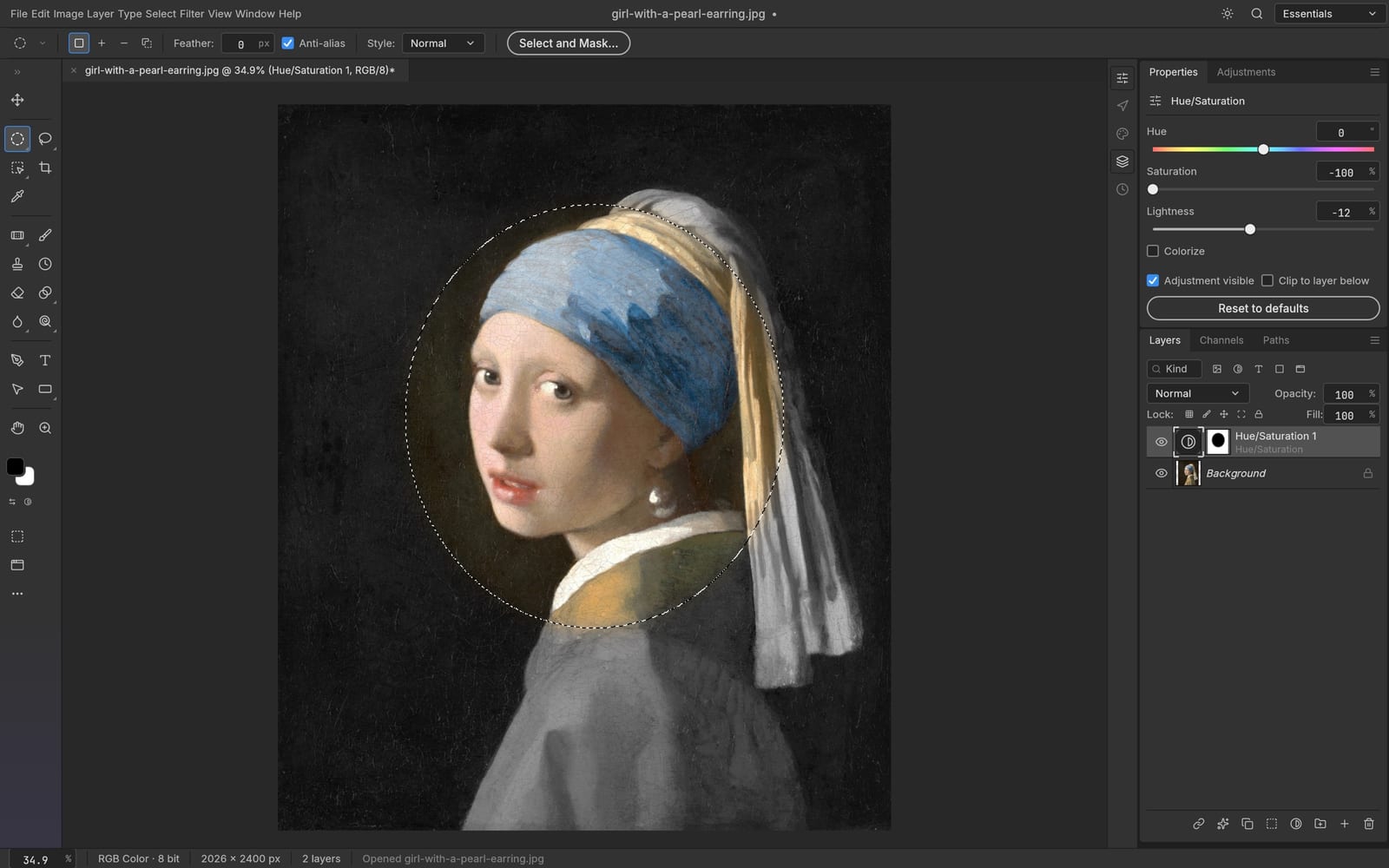 Gemini 4 Carbon photocraft selections and masks with a purpose